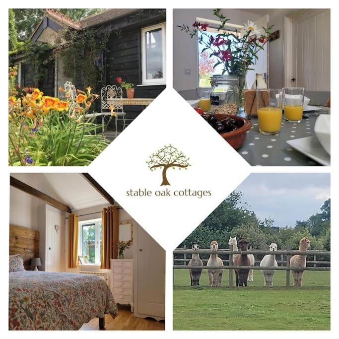 Willow Cottage In Idyllic Location Harrietsham Kültér fotó