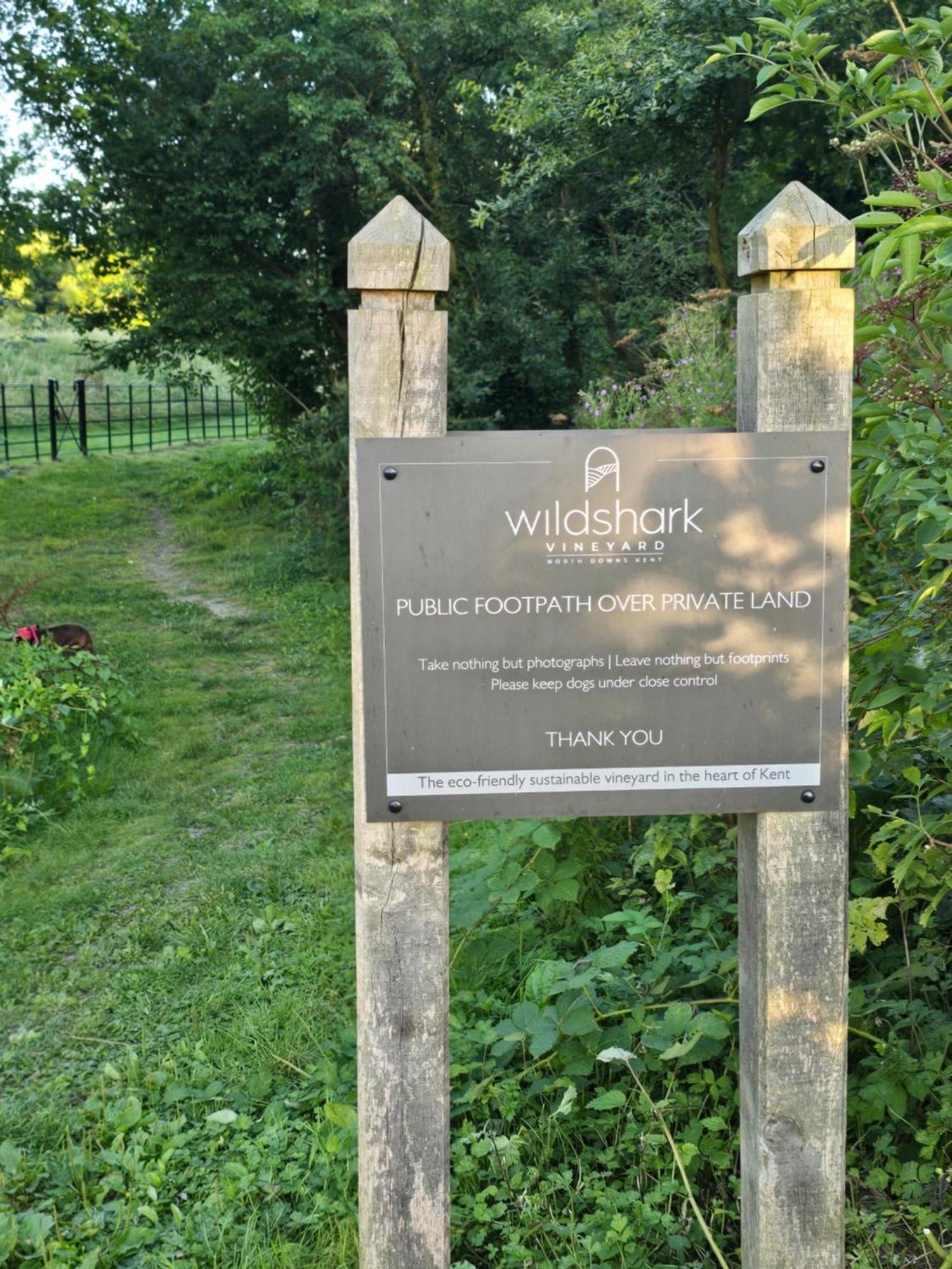 Willow Cottage In Idyllic Location Harrietsham Kültér fotó